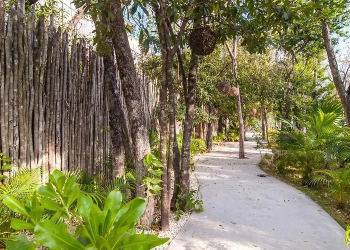 Appartement Spectacular Gaia/ph/private Pool Tulum